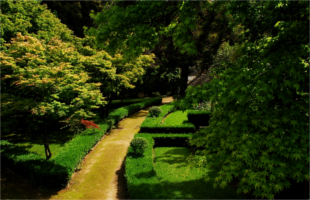 Botanical Garden Of The University Of Coimbra